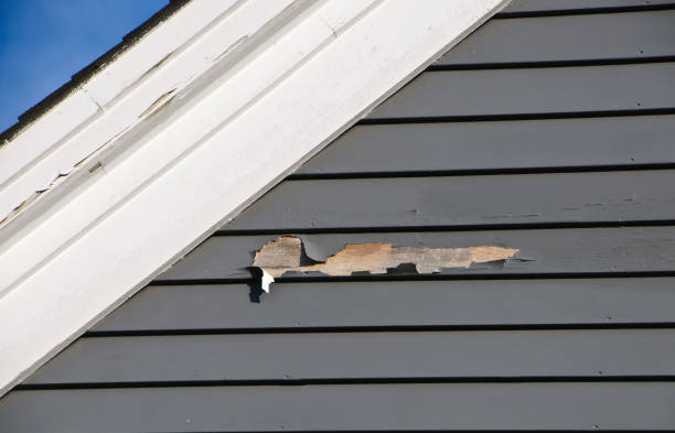 Best Siding Removal and Disposal  in Nephi, UT